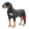 Pet Dog Knee Pads Dog Support Brace